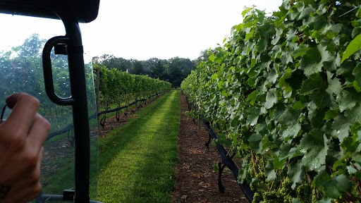 Winery «Beneduce Vineyards», reviews and photos, 1 Jeremiah Ln, Pittstown, NJ 08867, USA