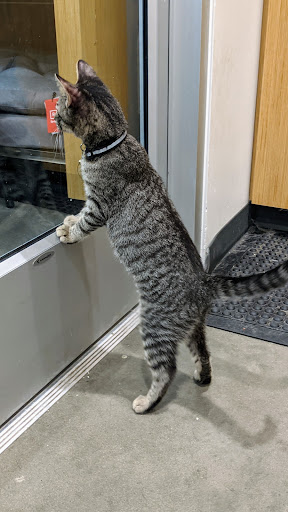 Pet Supply Store «Petco Animal Supplies», reviews and photos, 12444 NW 10th St #301, Yukon, OK 73099, USA