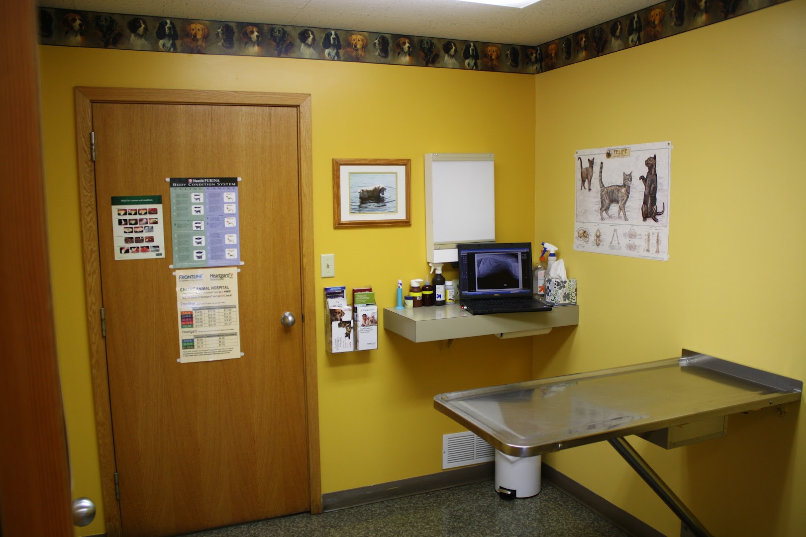 Centre Animal Hospital