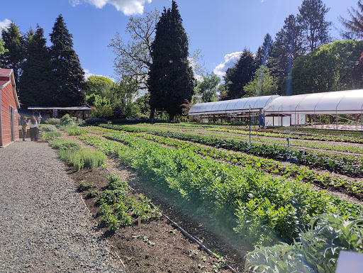 Side Yard Farm and Kitchen