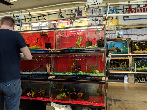 Pet Store «A to Z Pets», reviews and photos, 16010 SE Division St, Portland, OR 97236, USA