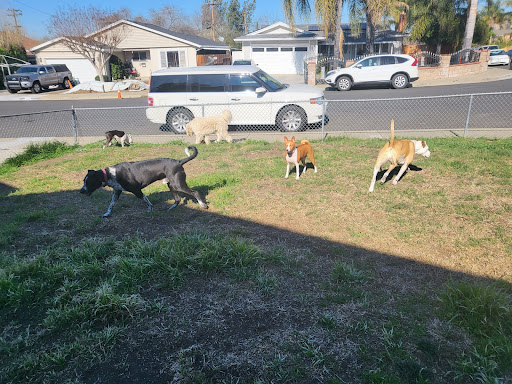 Buckie Pup House