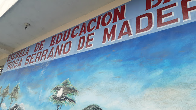 Opiniones de Escuela de Educación Básica "Rosa Serrano de Madero" en Machala - Escuela