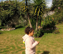 Posada Corto Maltese photo