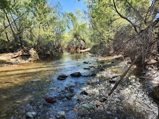 Jewel of the Creek Preserve