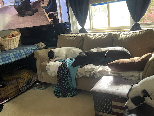 Non-Profit Organization «Goodwill Retail Store and Donation Center», reviews and photos