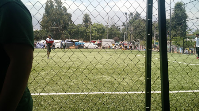 Teléfono de Canchas Los Presidentes