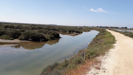 Reserva natural – Parque Natural Los Toruños – El Puerto de Sta María