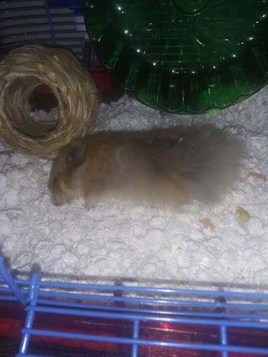 Pet Supply Store «Pet Supplies Plus», reviews and photos, 15060 Eureka Rd, Southgate, MI 48195, USA