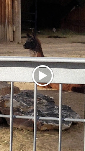 Zoo «Monkey Island», reviews and photos, 8 E 23rd Ave, Denver, CO 80205, USA