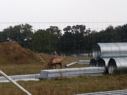 Crowe Company in Milano, Texas