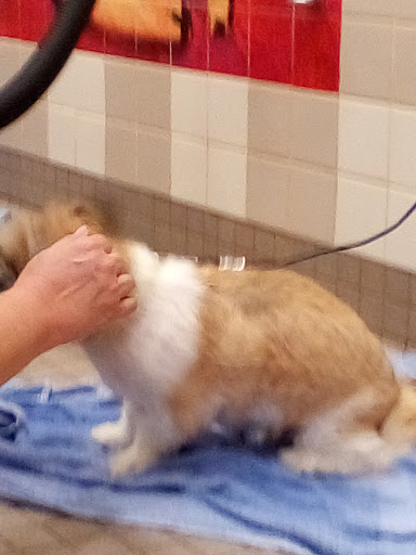 Pet Supply Store «Pet Food Express», reviews and photos, 1315 Linda Mar Shopping Center, Pacifica, CA 94044, USA