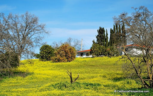 Live Music Venue «Concord Pavilion», reviews and photos, 2000 Kirker Pass Rd, Concord, CA 94521, USA
