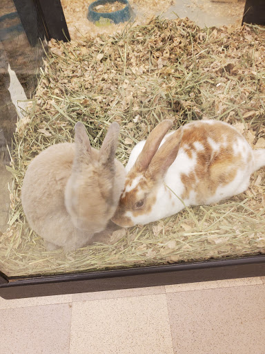 Pet Store «Critters Pet Shop», reviews and photos, Randall Rd, South Elgin, IL 60177, USA