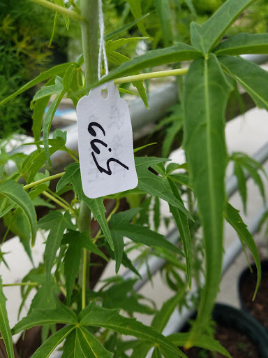 Produce Market «Southside Produce Co Inc», reviews and photos, 8240 Perkins Rd, Baton Rouge, LA 70810, USA