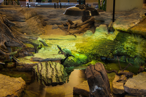 Nature Preserve «Hickory Knolls Discovery Center», reviews and photos, 3795 Campton Hills Drive, St Charles, IL 60175, USA