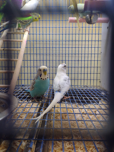 Pet Supply Store «Pickering Valley Feed & Farm Store», reviews and photos, 305 Gordon Dr, Exton, PA 19341, USA