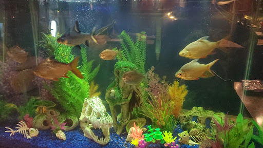 Pet Supply Store «PetSmart», reviews and photos, 1300 John F Kennedy Rd, Dubuque, IA 52002, USA