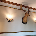 Photo n°3 de l'avis de Andrea.r fait le 22/05/2019 à 05:20 sur le  Bergische Schweiz à Engelskirchen