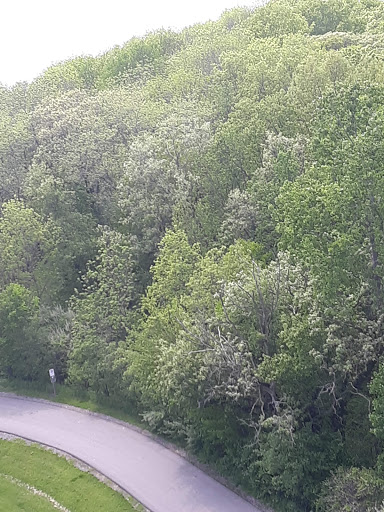 Tourist Attraction «Cordova Observation Tower», reviews and photos, 1293 Emerald Ave, Otley, IA 50214, USA