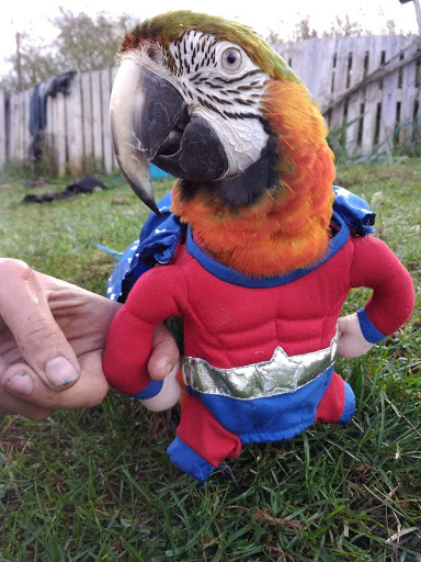 Pet Store «Kalamazoo Reptile Show», reviews and photos, 2900 Lake St, Kalamazoo, MI 49048, USA