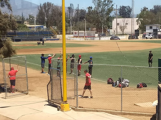 Liga de Beisbol Infantil y Juvenil Municipal de Tijuana