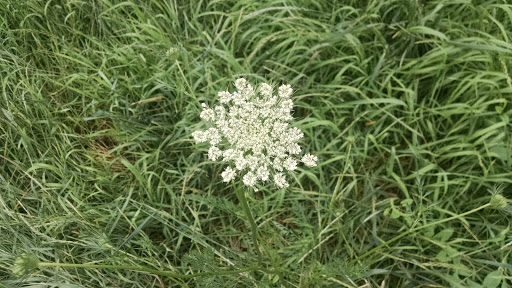 Park «New Haven Park», reviews and photos, New Haven Ave, Aurora, IL 60506, USA