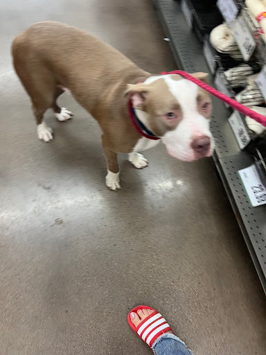 Pet Supply Store «Pet Supplies Plus», reviews and photos, 1616 Precinct Line Rd, Hurst, TX 76054, USA