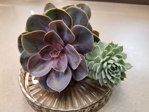 Florist «La Crosse Floral», reviews and photos, 2900 Floral Ln, La Crosse, WI 54601, USA