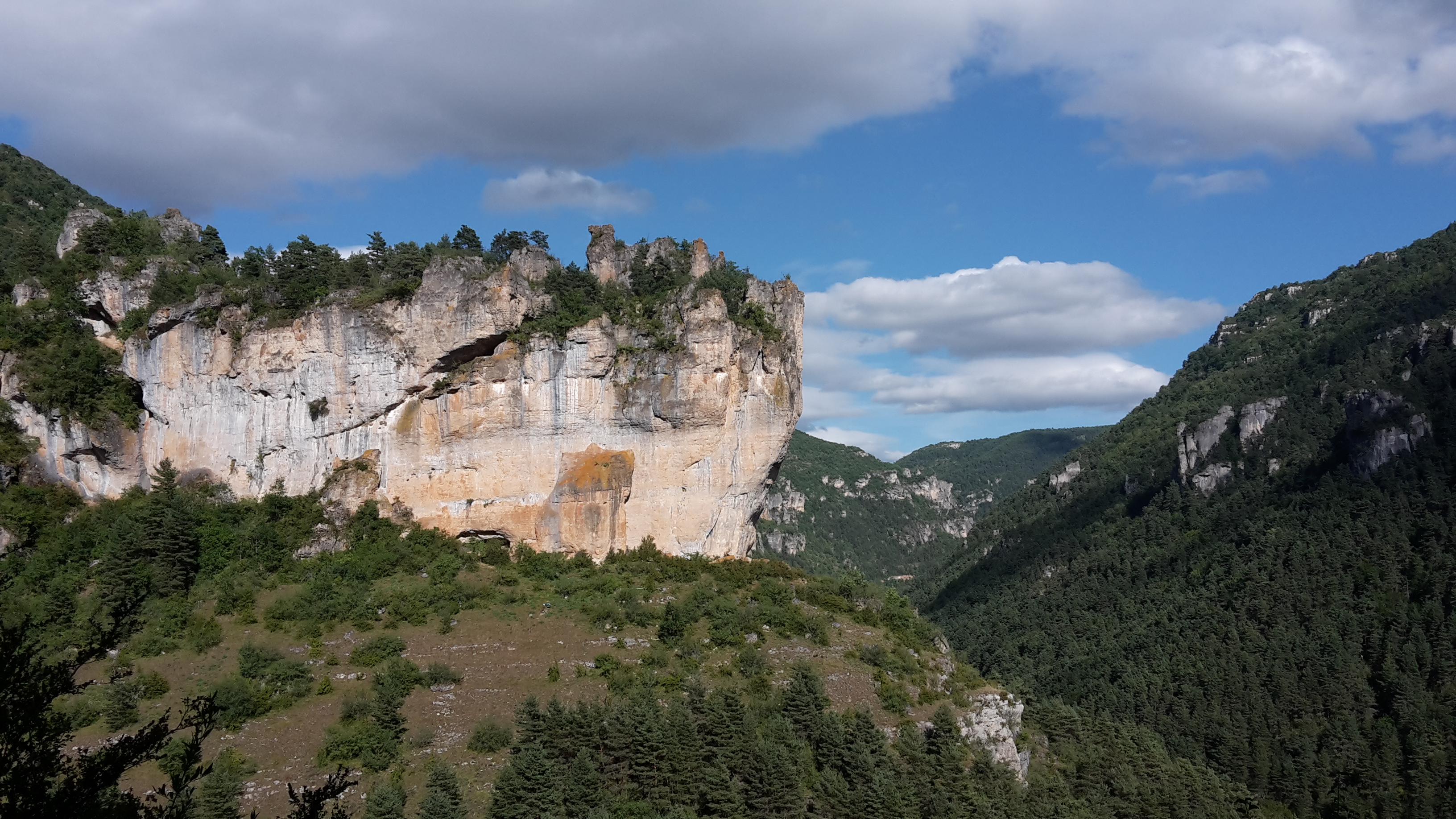 Photo n° 2 de l'avis de Maxime. fait le 29/07/2017 à 06:30