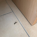 Photo n°2 de l'avis de Filippina.a fait le 15/02/2020 à 08:08 sur le  Constellation Hotel - Lido di Savio à Lido di Savio