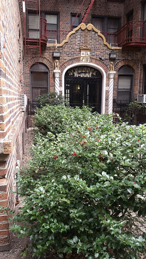 Pet Store «Petland Discounts - Jackson Heights», reviews and photos, 37-55 82nd St, Jackson Heights, NY 11372, USA