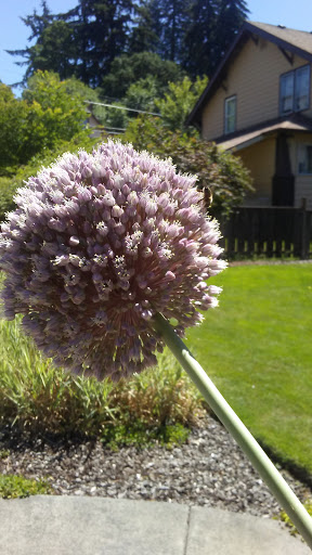 Social Services Organization «Fathers Heart Street Ministry», reviews and photos