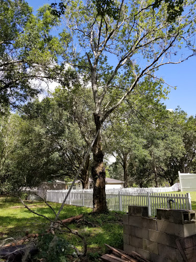 Public Golf Course «Quail Hollow Golf Course», reviews and photos, 6225 Old Pasco Rd, Wesley Chapel, FL 33544, USA