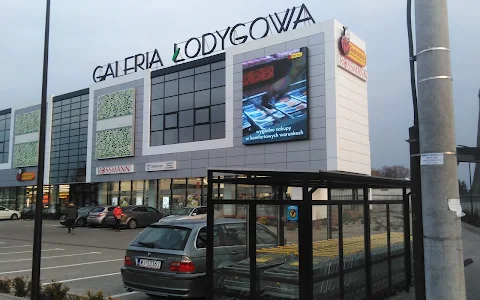 Galeria Łodygowa image