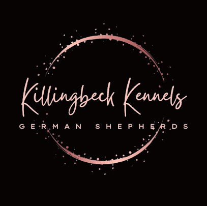 Killingbeck Kennels German Shepherds