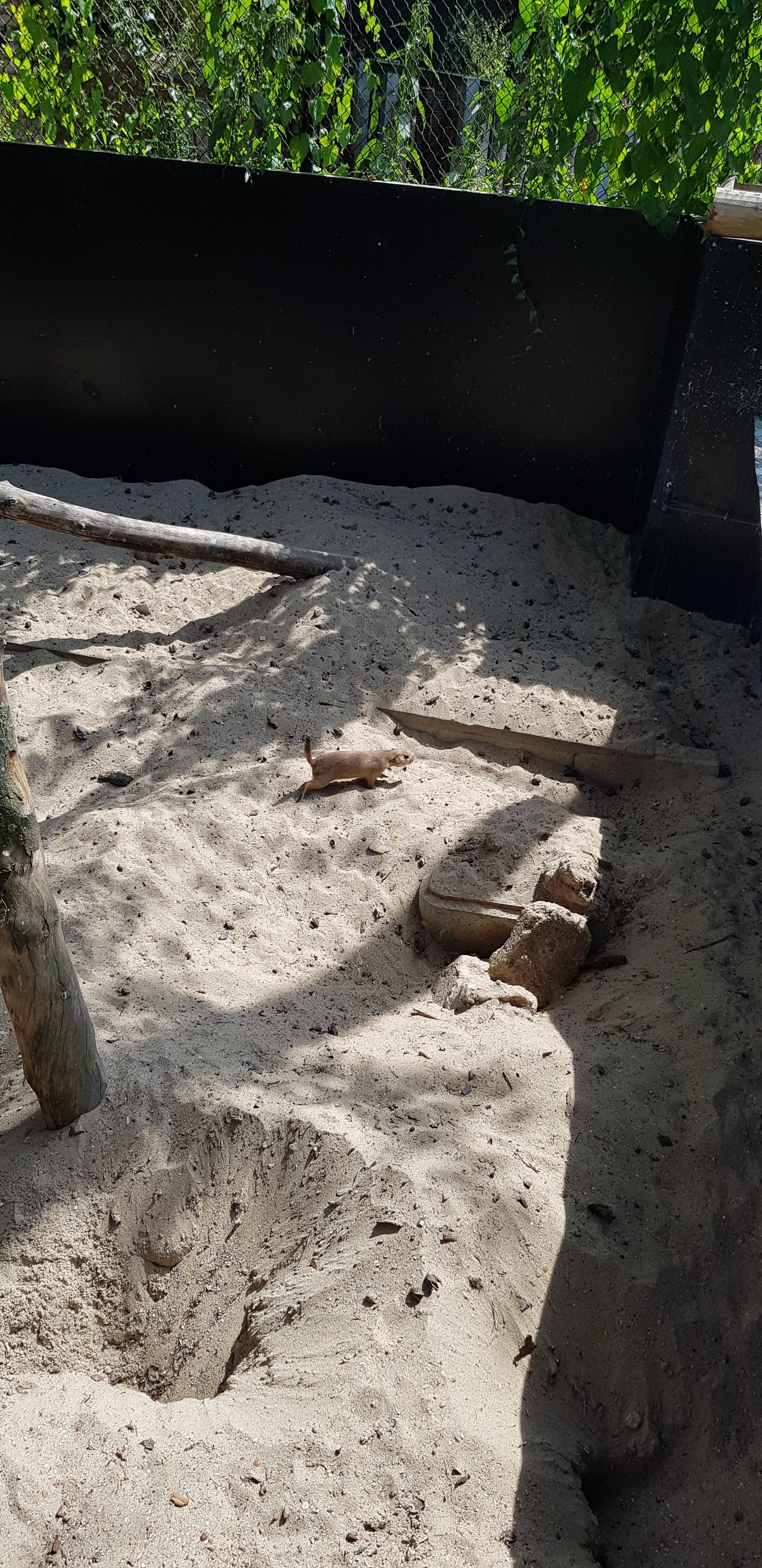 Photo n° 50 de l'avis de Nuk3d.t fait le 13/10/2019 à 18:58