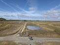 Marais Salants du Mès Assérac