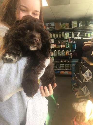 Pet Supply Store «Pet Place Market», reviews and photos, 213 Bendigo Blvd N #2, North Bend, WA 98045, USA