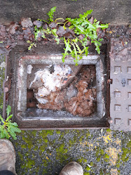 About Drains