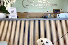 ABC Veterinary Hospital Pacific Beach