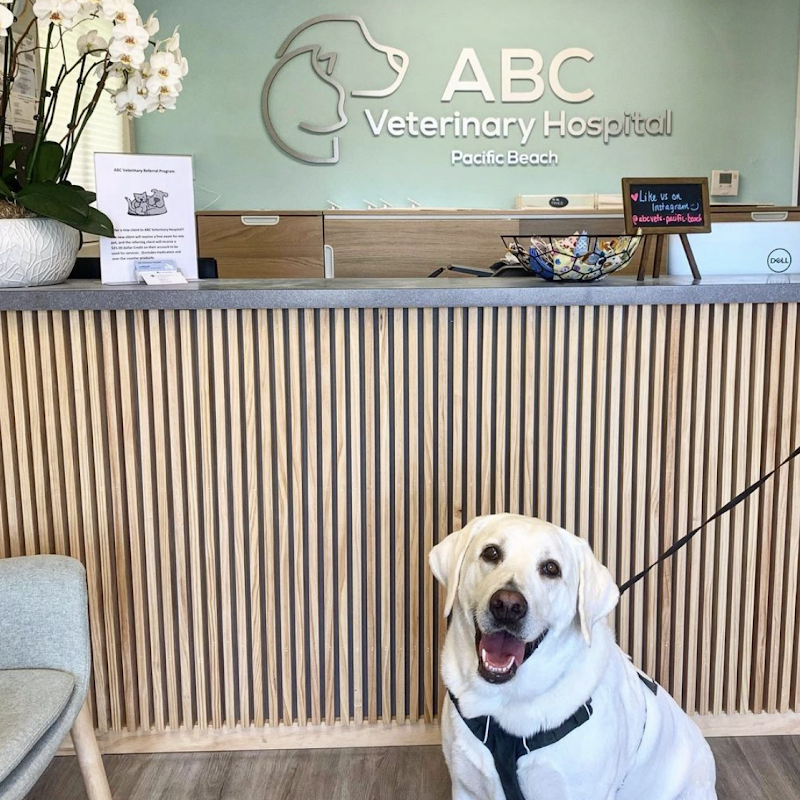 ABC Veterinary Hospital Pacific Beach