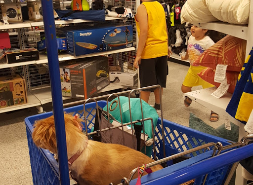 Shopping Mall «Hastings Village», reviews and photos, E Foothill Blvd, Pasadena, CA 91107, USA