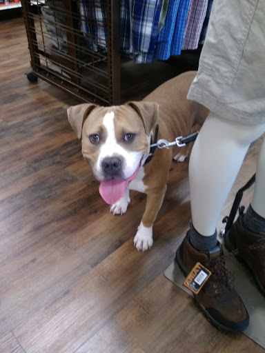 Farm Equipment Supplier «Lock Stock & Barrel», reviews and photos, 770 Amity Rd, Bethany, CT 06524, USA