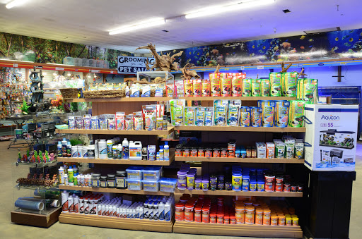 Pet Supply Store «Pet Creations», reviews and photos, 11819 Main St N, Jacksonville, FL 32218, USA