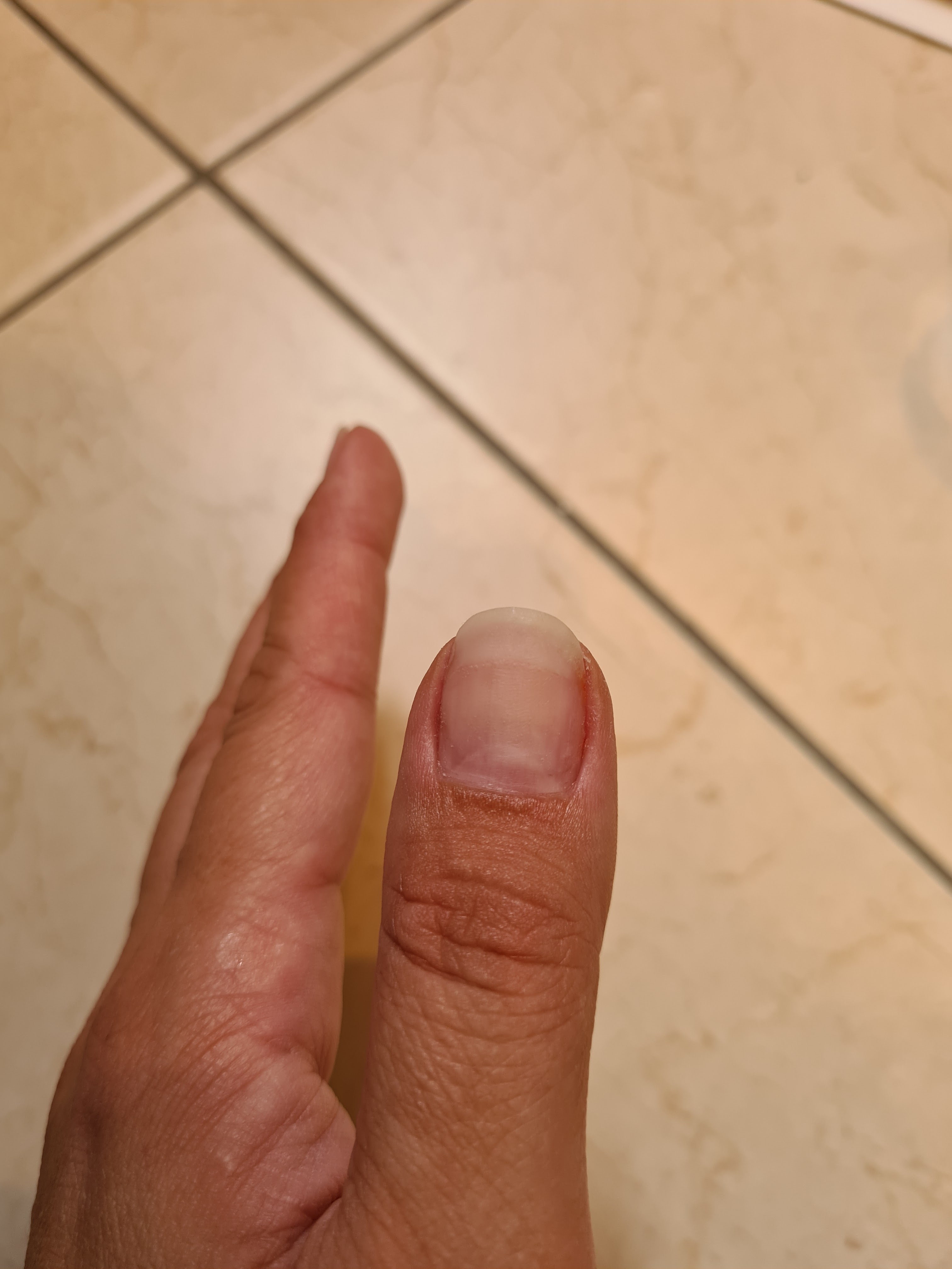 Photo n° 3 de l'avis de A. fait le 19/08/2022 à 20:34