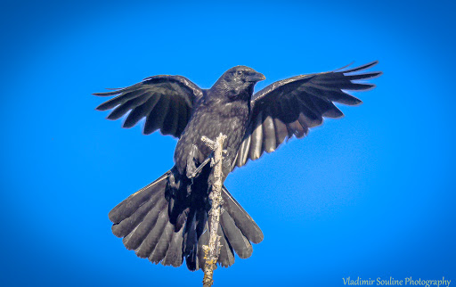 Park «Lake Boren Park», reviews and photos, 13058 SE 84th Way, Newcastle, WA 98056, USA