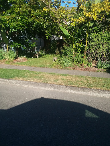 Golf Course «Mint Valley Golf Course», reviews and photos, 4002 Pennsylvania St, Longview, WA 98632, USA