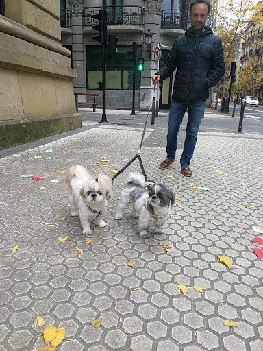 Lugares de adopcion de mascotas en San Sebastián
