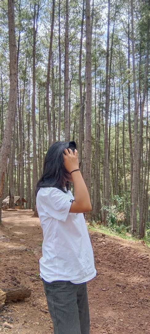 Wisata Hutan Pinus Buntudatu